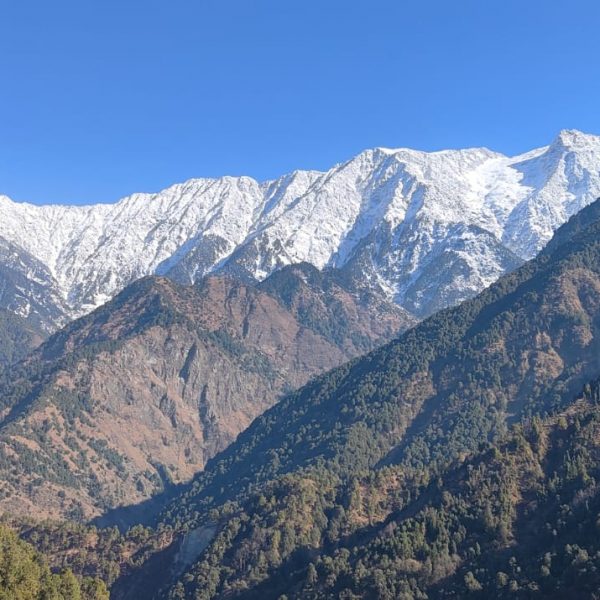 WhatsApp Image 2026-04-01 at 16.15.07